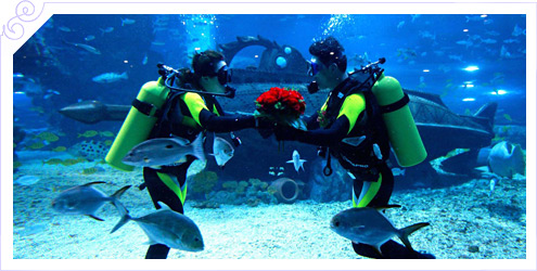 Свадебная церемония под водой, мальдивские острова