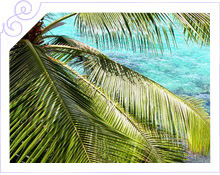  -     Hilton Seychelles Northolme Resort & Spa 5*   -  1