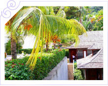  -     Hilton Seychelles Northolme Resort & Spa 5*   -  11