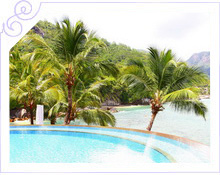  -     Hilton Seychelles Northolme Resort & Spa 5*   -  4
