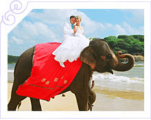 Свадьба на Шри-Ланке (в отеле The Eden Resort & Spa)